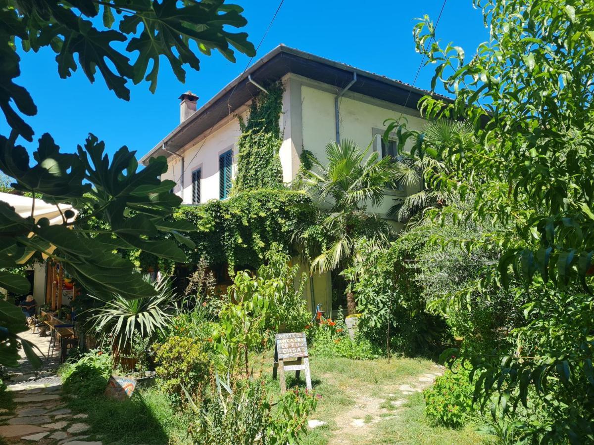 Mi Casa es Tu Casa - Shkodra Backpackers Hostel Bagian luar foto