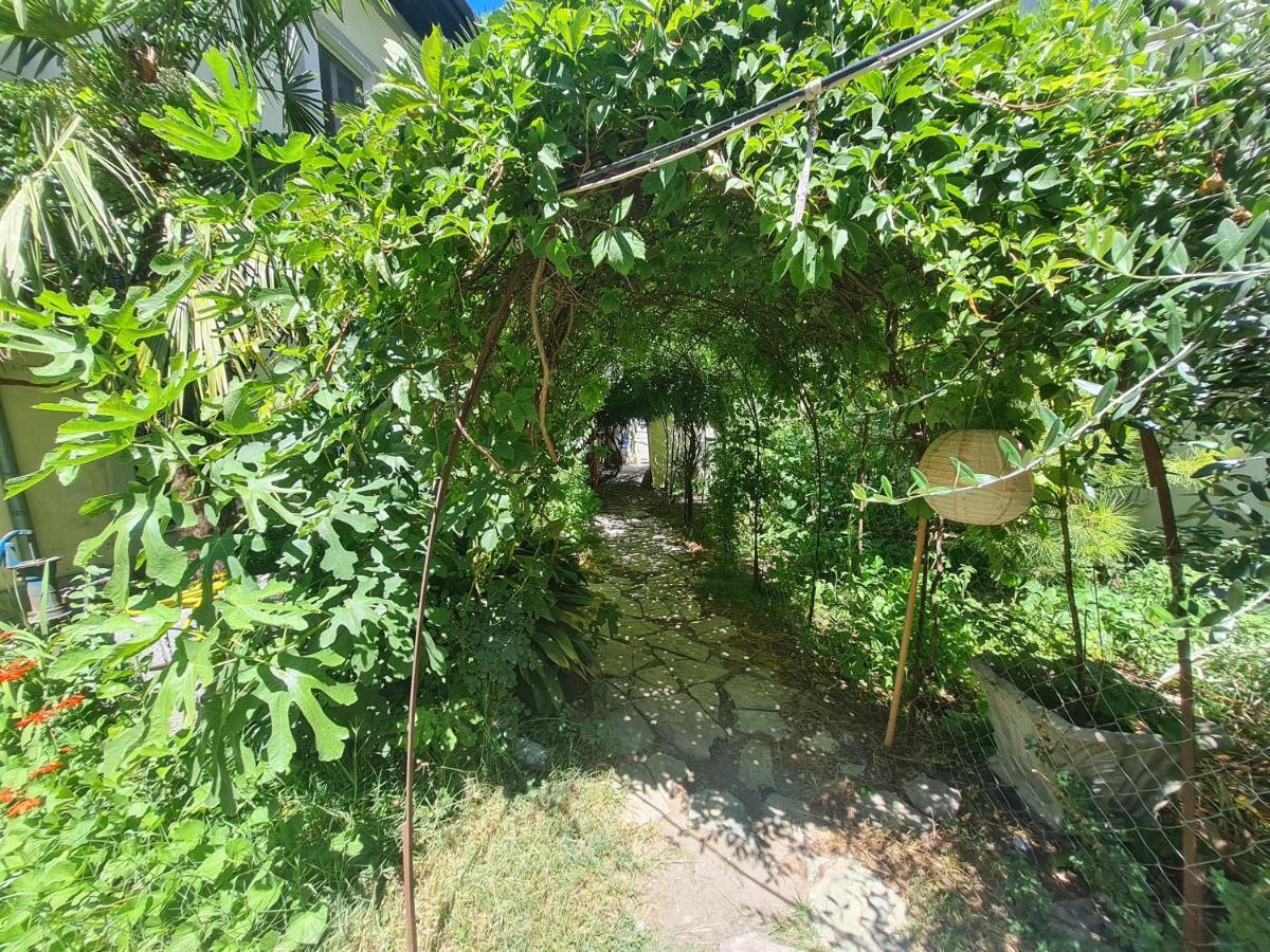 Mi Casa es Tu Casa - Shkodra Backpackers Hostel Bagian luar foto